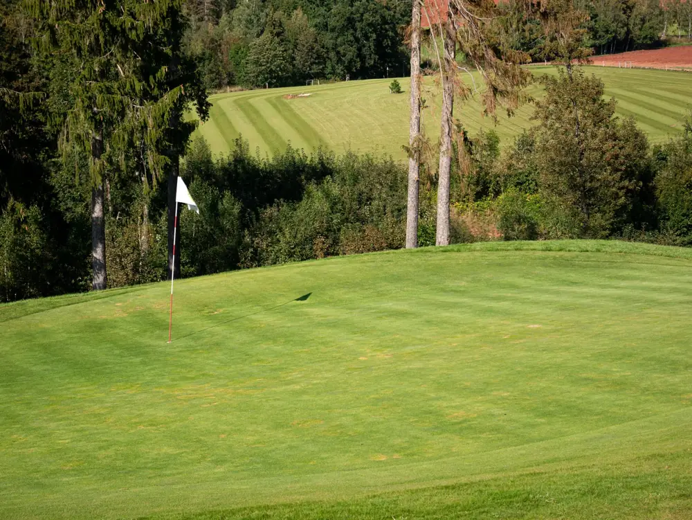 golf cart and green fee myrtle