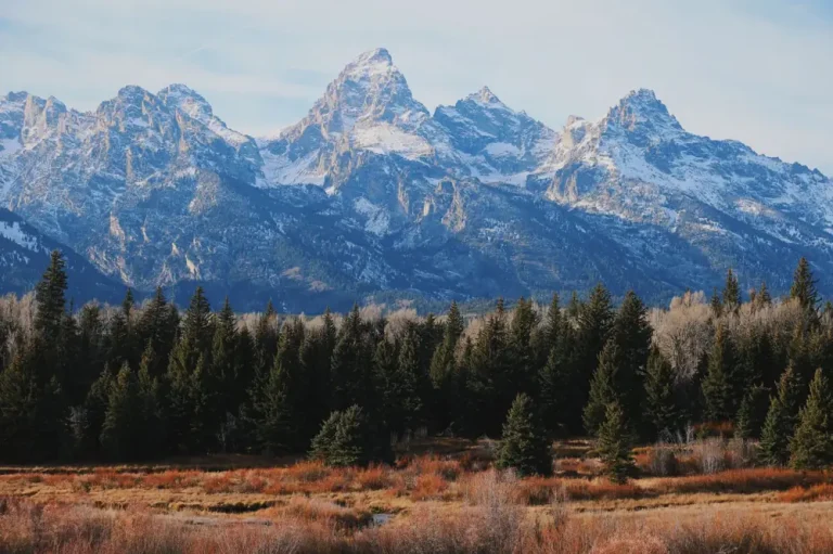 jackson hole hotel cost - Jackson Hole Hotel Cost Per Night Wyoming Teton Village