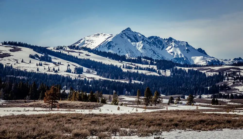 jackson hole hotel cost