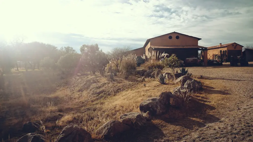rancho la puerta week cost