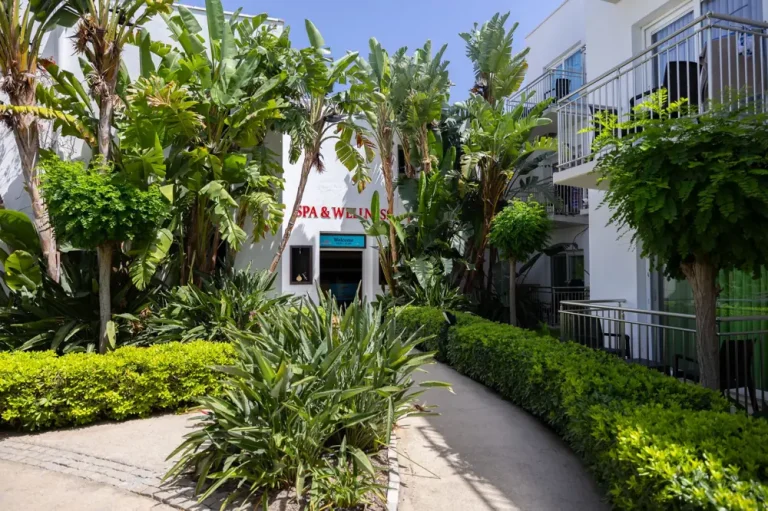 wellness resort week cost tucson - Wellness Resort All Inclusive Week Cost Tucson Arizona